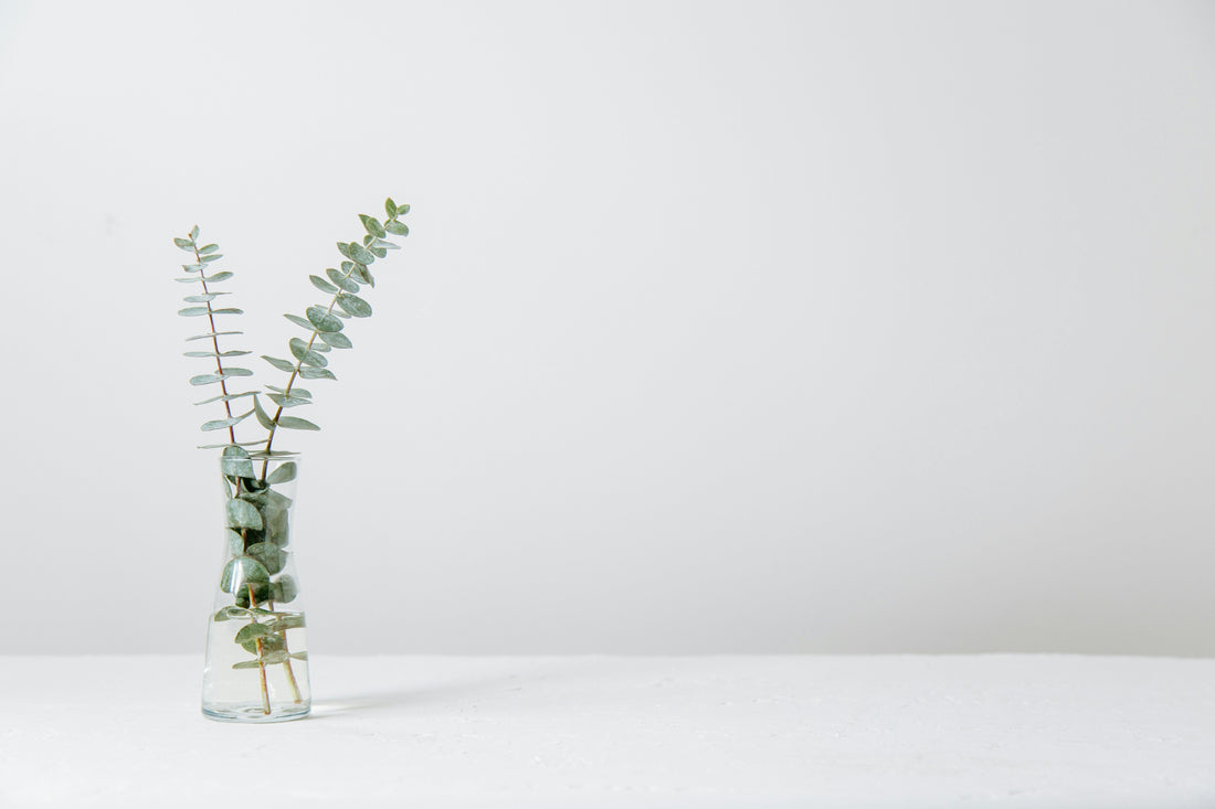 Estrogen: The Balancing Act